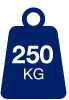 250 kg max load icon